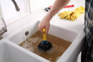 Additional Tips for Plunger Success
