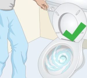 Common Household Liquids to watch toilet