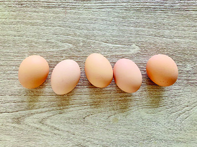 Eggs are renowned for their high proteins