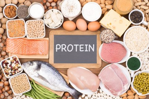 What are The Top 10 High Protein Foods